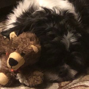 Meet your Posher, Bethany